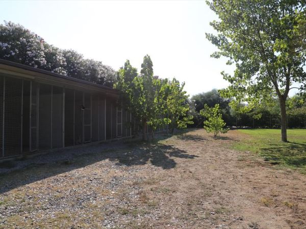 Vascellero Club Resort - foto 45499.jpg