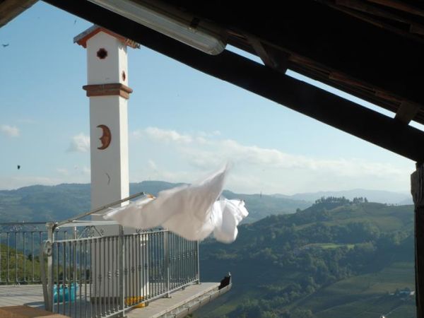 La casa del prof  - foto 45580.jpg