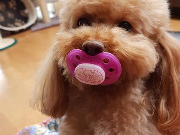 Hotel Michelangelo - foto 45811.jpg