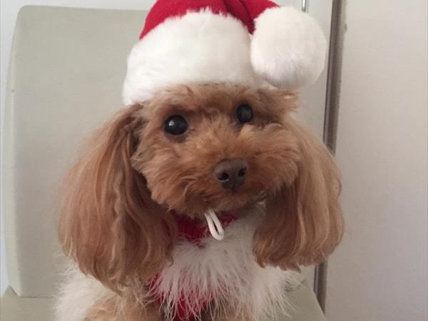 Hotel Michelangelo - foto 45812.jpg