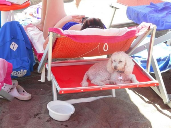 Bagno Donna di Cuori - foto 45967.jpg
