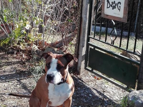 Le Muratelle - foto 46055.jpg