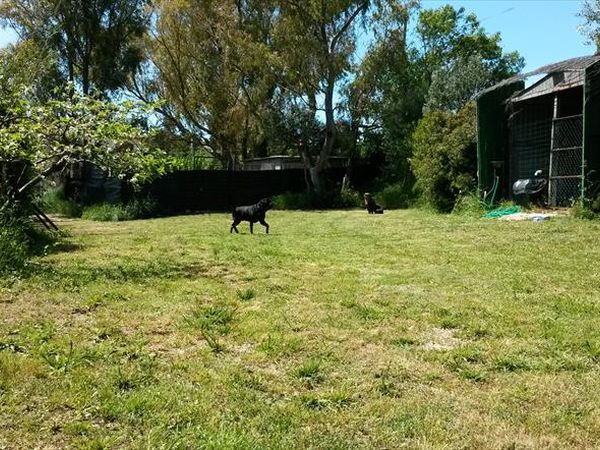 Le Muratelle - foto 46057.jpg