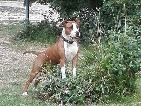 Le Muratelle - foto 46058.jpg