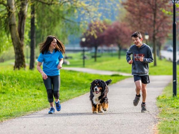 Rosa delle Dolomiti - foto 46120.jpg