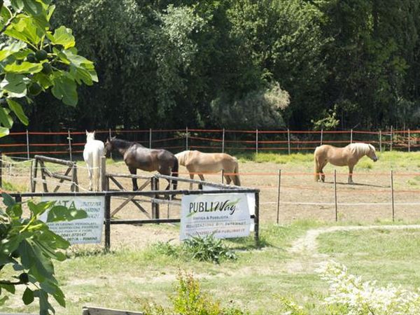 Case Mori - foto 46159.jpg