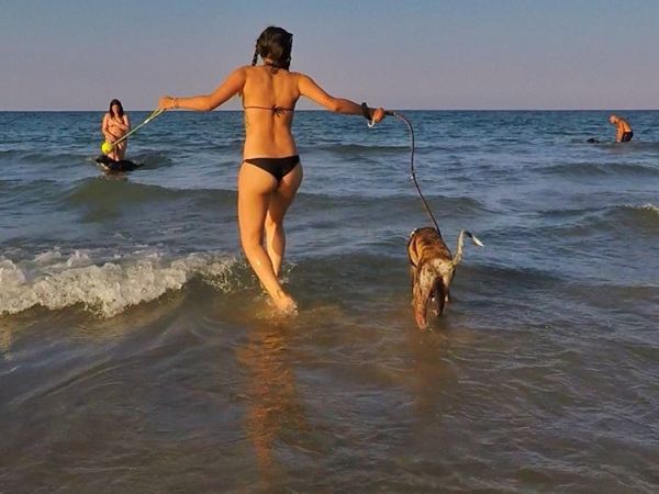 Rimini Dog No Problem - Bagno 81 Rimini - foto 46162.jpg