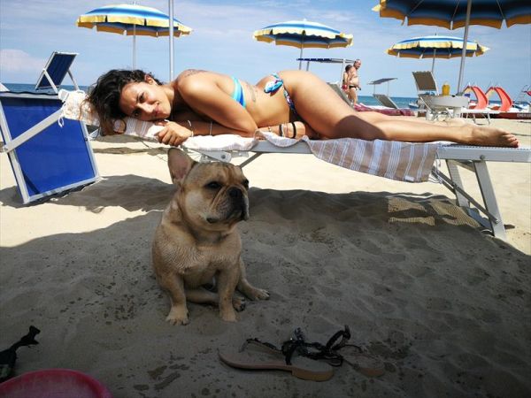 Rimini Dog No Problem - Bagno 81 Rimini - foto 46171.jpg