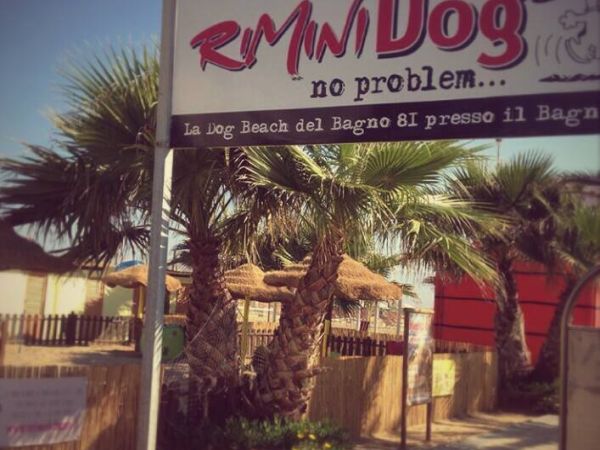 Rimini Dog No Problem - Bagno 81 Rimini - foto 46173.jpg