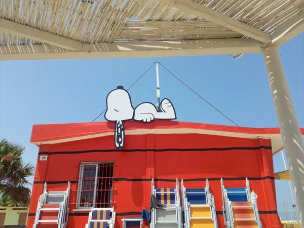 Rimini Dog No Problem - Bagno 81 Rimini - foto 46174.jpg