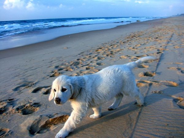 Le Barchette San Cataldo - foto 46235.jpg