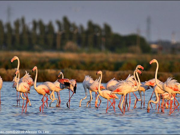 Hotel lApprodo - foto 46269.jpg