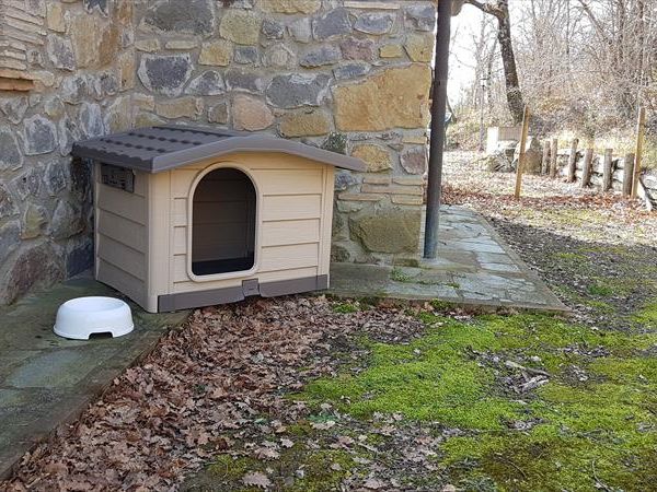 Podere Pietreta - foto 46302.jpg