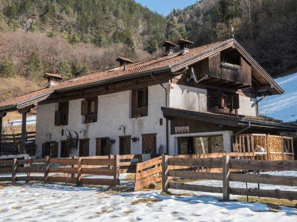 Chalet Baita nel bosco Ledro - foto 46340.jpg