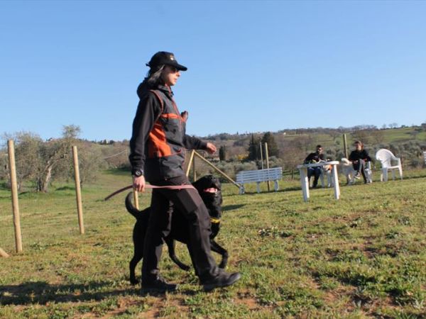 Agriturismo Saragiolo - foto 46362.jpg