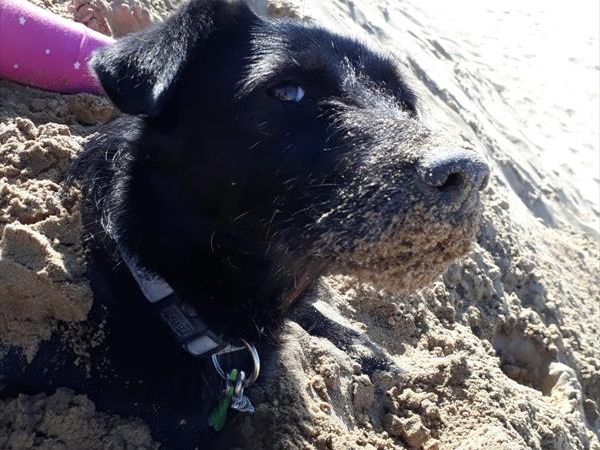 Residence Hotel Piccadilly*** - foto 46363.jpg