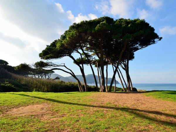 Azienda Agrituristica Allumiere - foto 46419.jpg