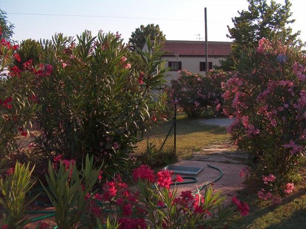 Azienda Agrituristica Allumiere - foto 46421.jpg