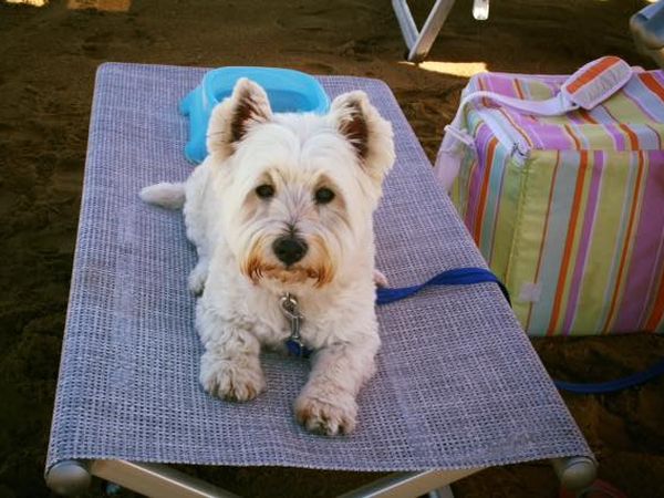 Europa Tourist Group Lignano Sabbiadoro - foto 46435.jpg