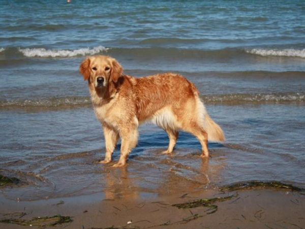 Europa Tourist Group Lignano Sabbiadoro - foto 46436.jpg