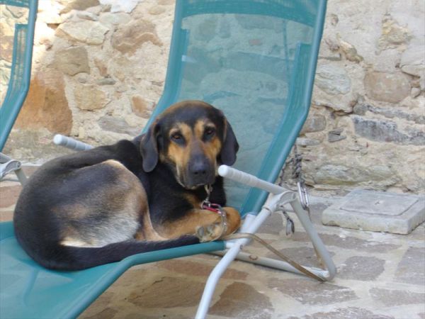 Stonehouse Accommodation - foto 46492.jpg