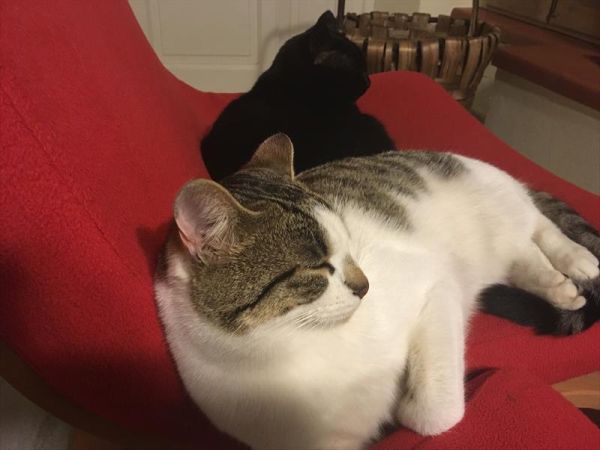 Stonehouse Accommodation - foto 46568.jpg