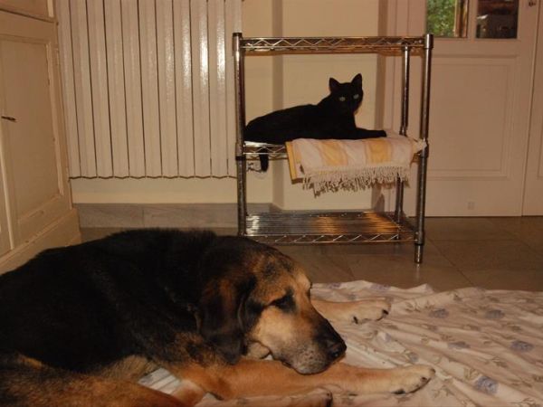 Stonehouse Accommodation - foto 46577.jpg