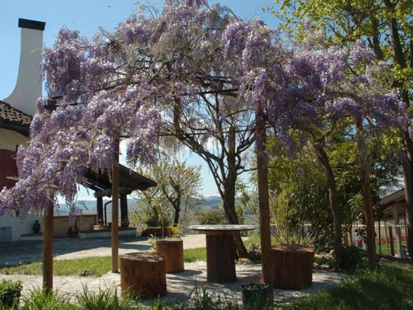 La casa del prof  - foto 46631.jpg