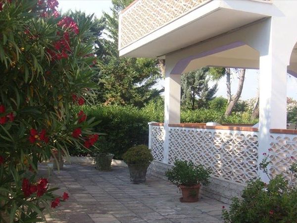 Tambo House - foto 46707.jpg