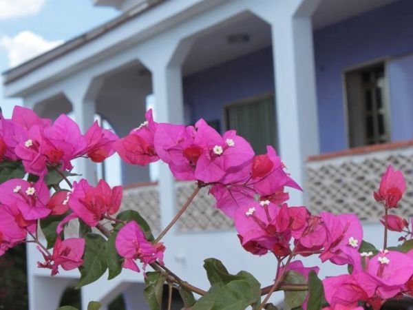 Tambo House - foto 46720.jpg