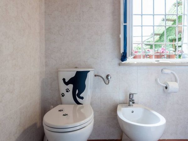 Casa Anita - foto 46916.jpg