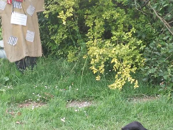 Casa Anita - foto 46922.jpg