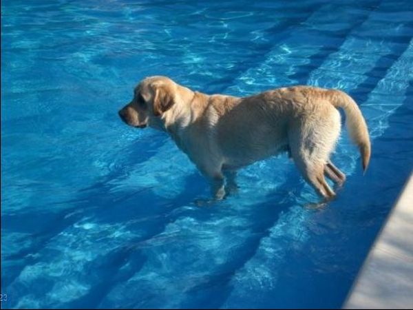 Centro Vacanze Garden River - foto 14358.jpg