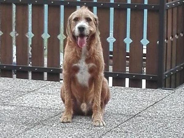 Ledro Service Tour - foto 47236.jpg