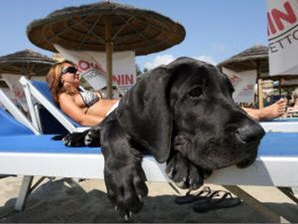 Bau Bau Village Savona - foto 14406.jpg