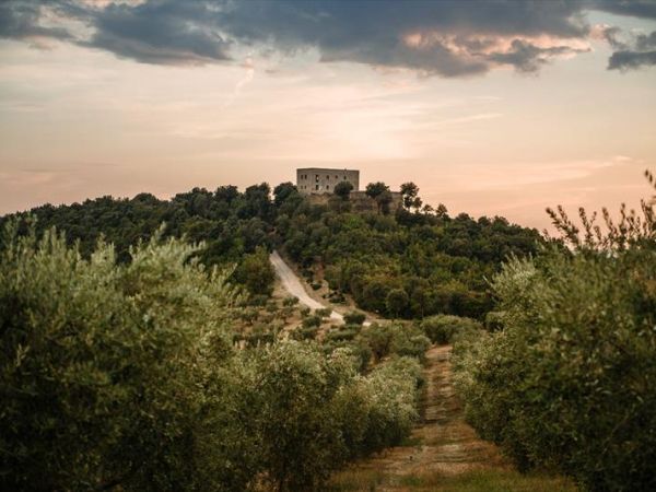 Tenuta Forte Sorgnano - foto 47275.jpg