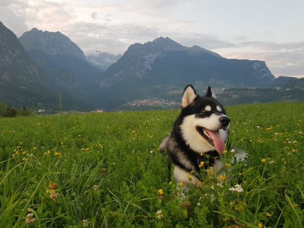 Vital Hotel Flora - foto 47440.jpg