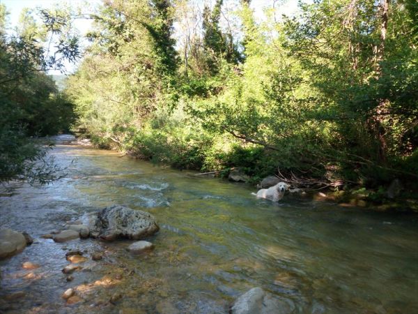 La Masseria di Antonio e Teresina - foto 47506.jpg