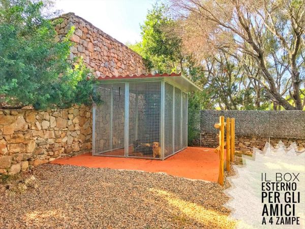 Case Vacanza Marina - Porto Rotondo  - foto 47578.jpg