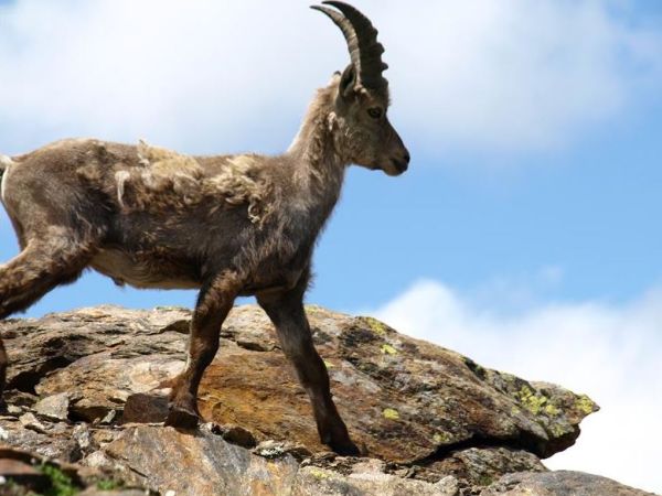 Hotel Ortles - foto 47607.jpg