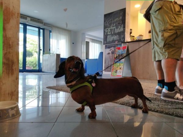 Hotel Marina - foto 47613.jpg