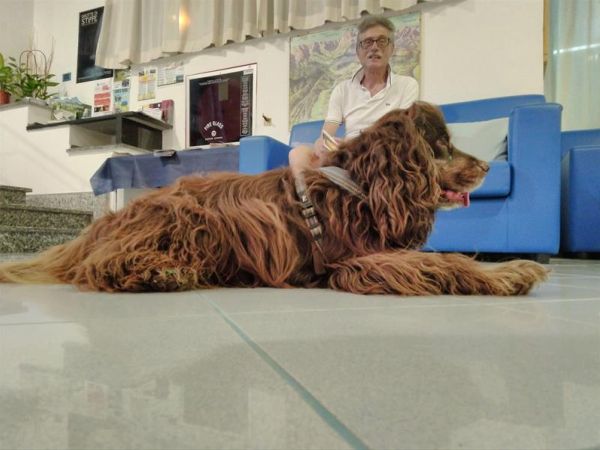 Hotel Marina - foto 47617.jpg