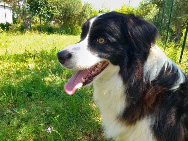 Hotel Marina - foto 47619.jpg