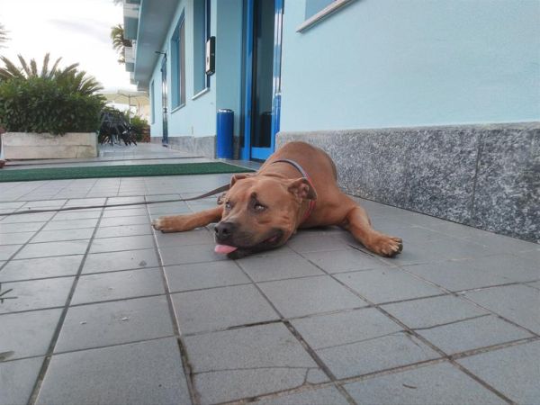 Hotel Marina - foto 47622.jpg