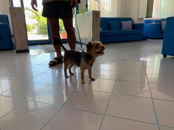 Hotel Marina - foto 47624.jpg