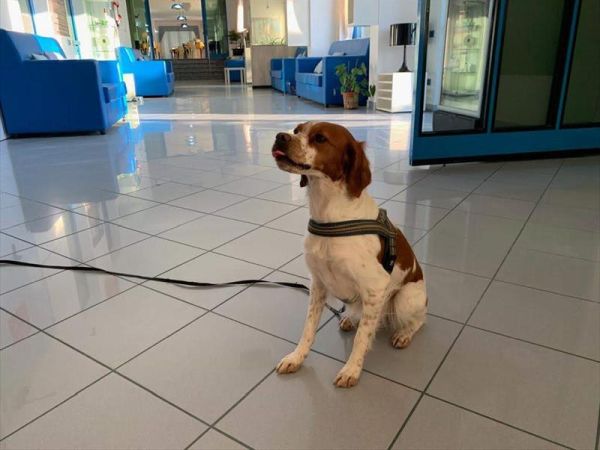 Hotel Marina - foto 47628.jpg