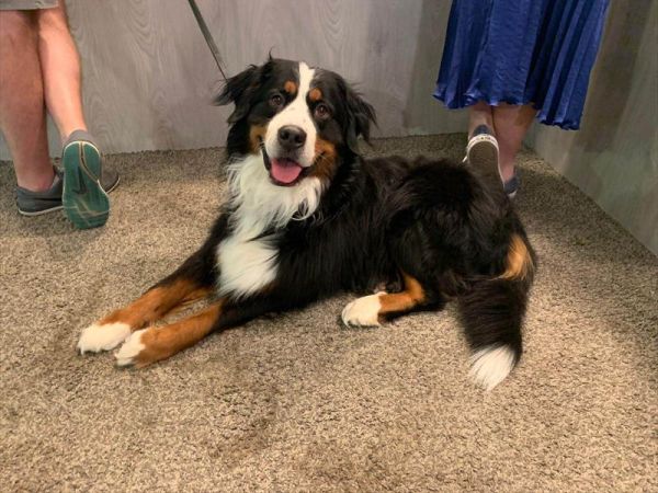 Hotel Marina - foto 47629.jpg