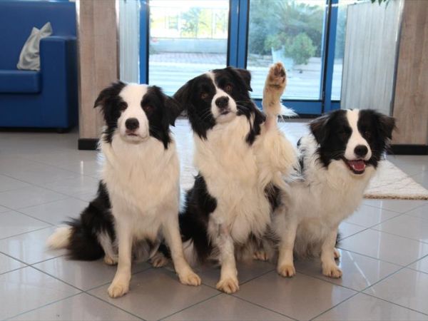 Hotel Marina - foto 47631.jpg