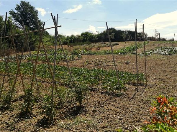 Agriturismo Antiche Dimore di Poggianto - foto 47721.jpg