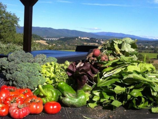 Agriturismo Antiche Dimore di Poggianto - foto 47724.jpg